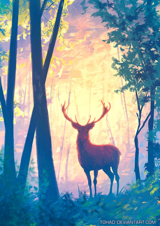 Illustration for article titled Mirror's...Precipice?